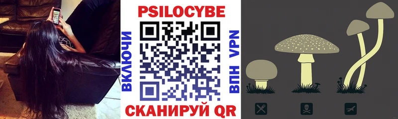 Купить закладки  Глазов  Галлюциногенные грибы мицелий 